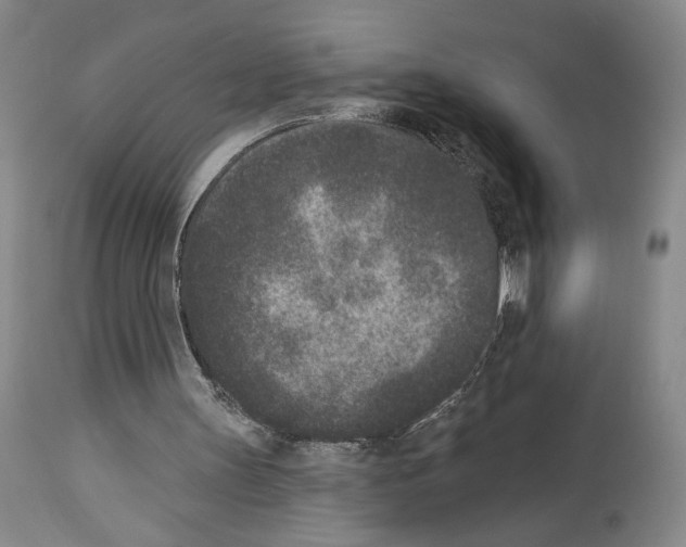 X0000113940147200911061249