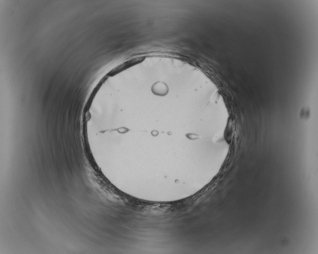X0000113940148200911061249