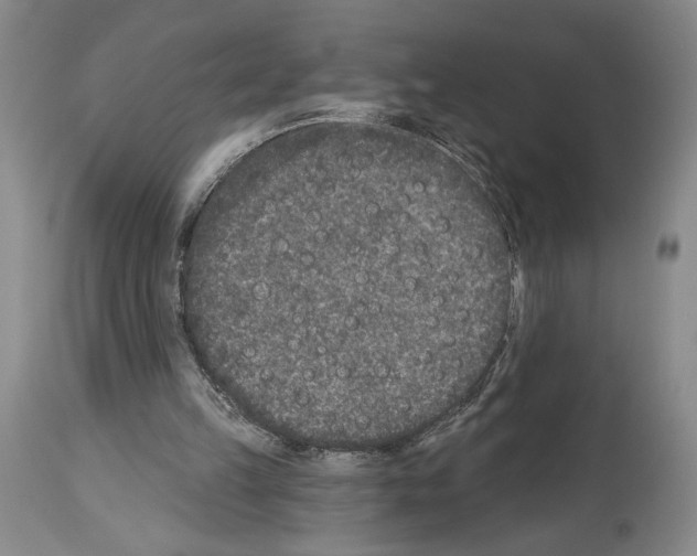 X0000113940149200911061249