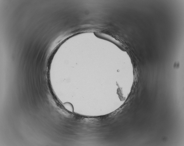 X0000113940150200911061249