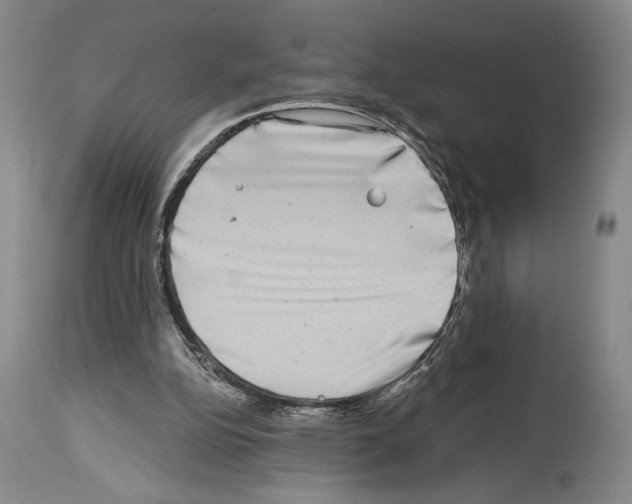 X0000113940152200911061249