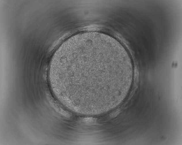 X0000113940153200911061249