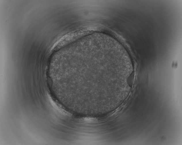 X0000113940154200911061249