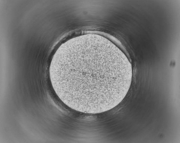 X0000113940156200911061249