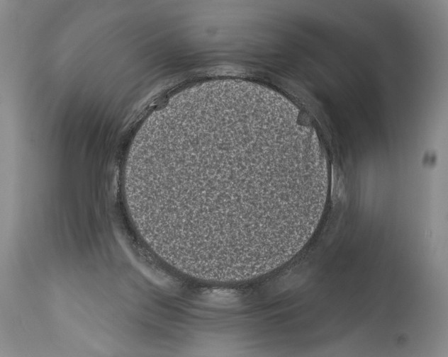 X0000113940157200911061249