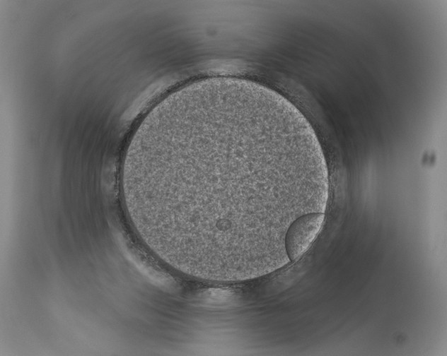 X0000113940159200911061249
