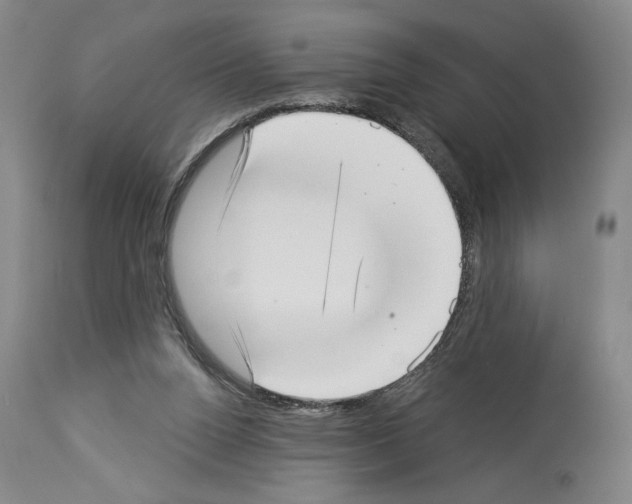 X0000113940160200911061249