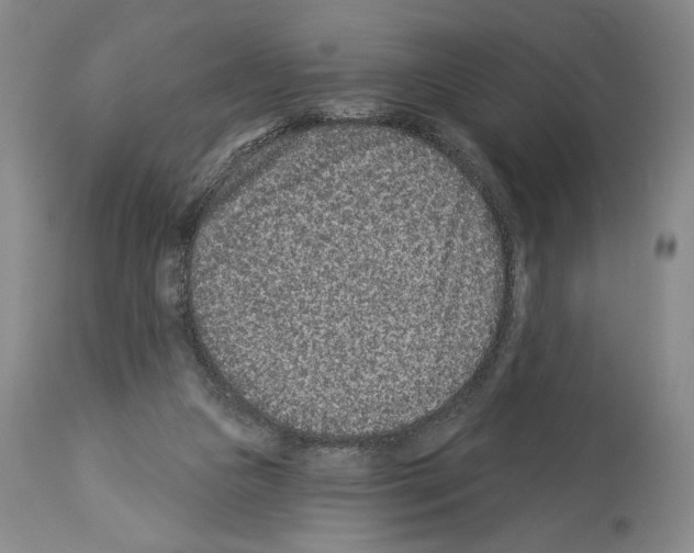 X0000113940161200911061249
