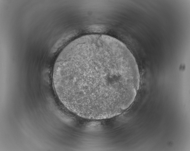 X0000113940162200911061249