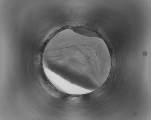 X0000113940163200911061249