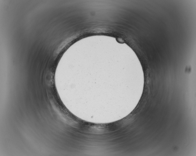 X0000113940164200911061249