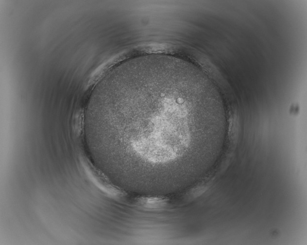 X0000113940165200911061249