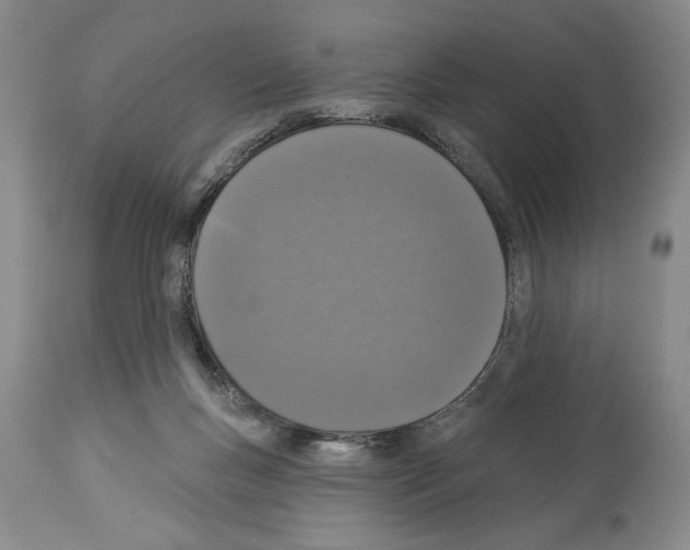 X0000113940167200911061249
