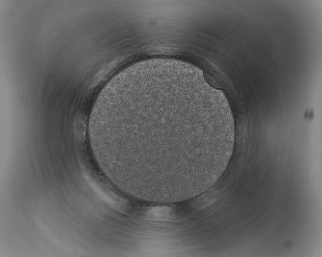 X0000113940168200911061249