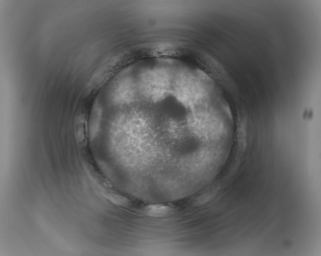 X0000113940169200911061249