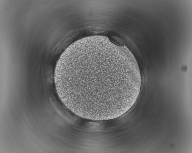X0000113940170200911061249