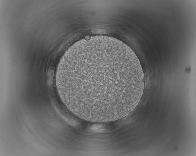 X0000113940171200911061249