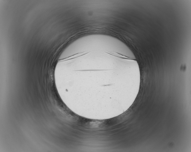X0000113940172200911061249