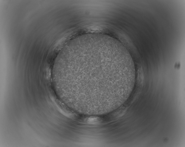 X0000113940173200911061249
