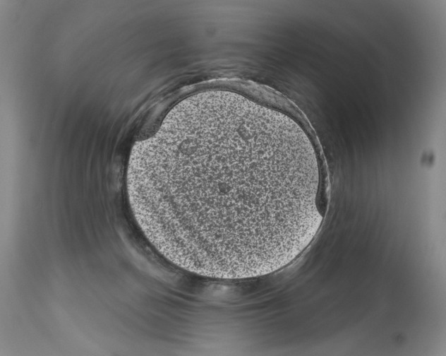 X0000113940174200911061249
