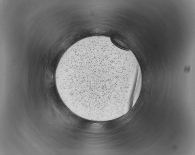 X0000113940176200911061249
