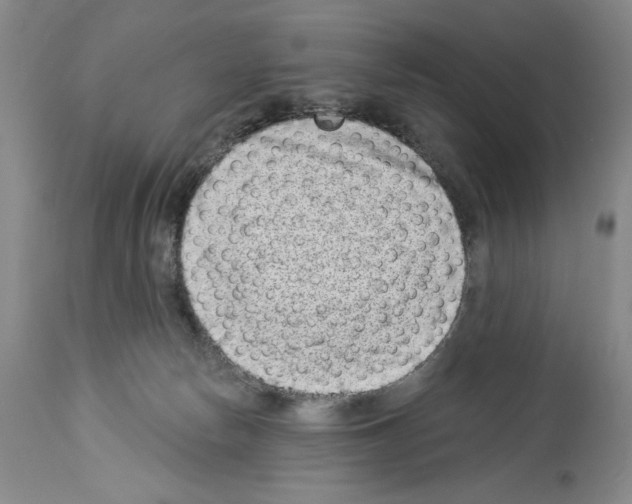 X0000113940178200911061249
