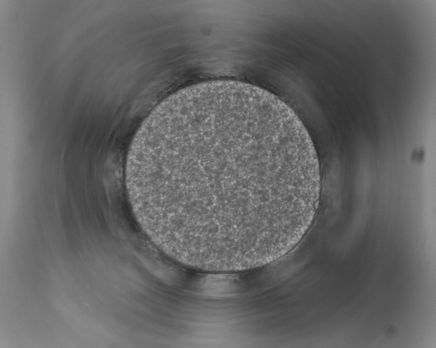 X0000113940179200911061249
