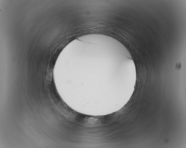 X0000113940180200911061249
