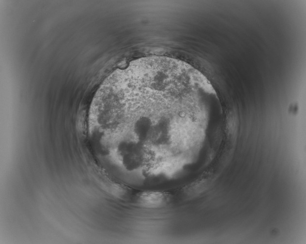 X0000113940181200911061249