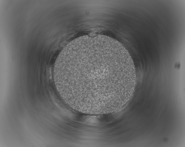 X0000113940182200911061249