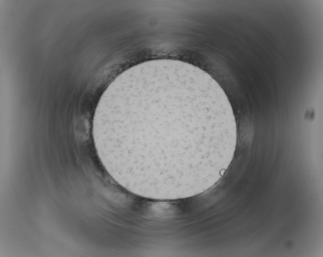 X0000113940183200911061249