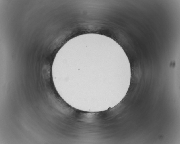 X0000113940184200911061249