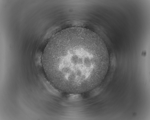 X0000113940185200911061249