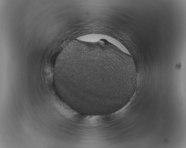 X0000113940186200911061250