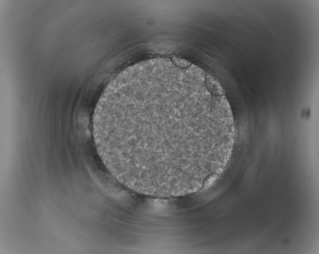 X0000113940187200911061250