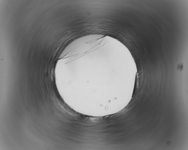 X0000113940188200911061250