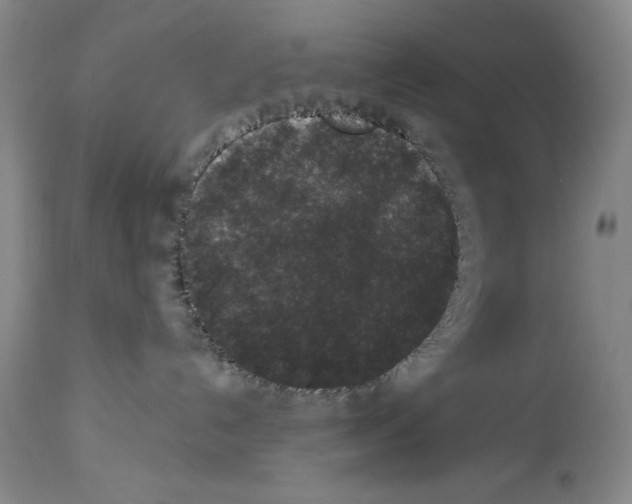 X0000113940192200911061250