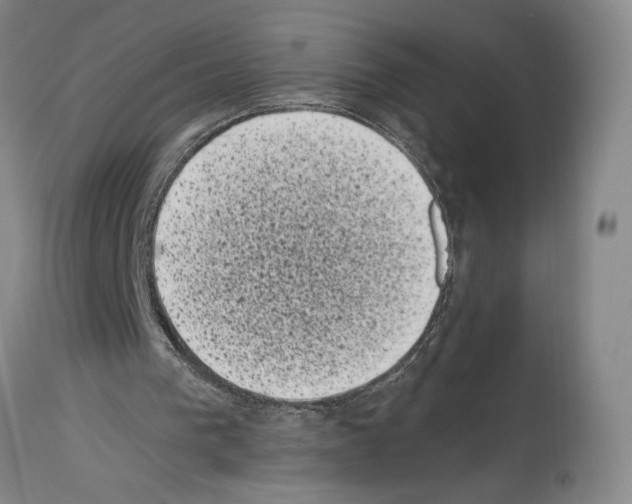 X0000113940193200911061249
