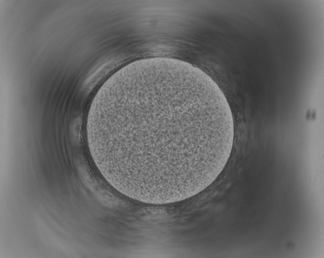 X0000113940194200911061249