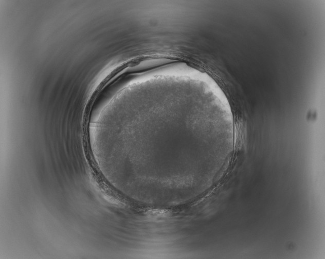 X0000113940195200911061249