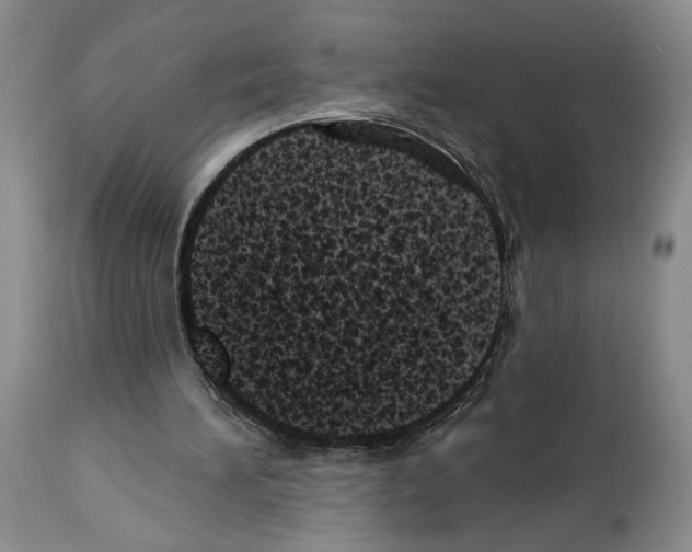 X0000113940196200911061249
