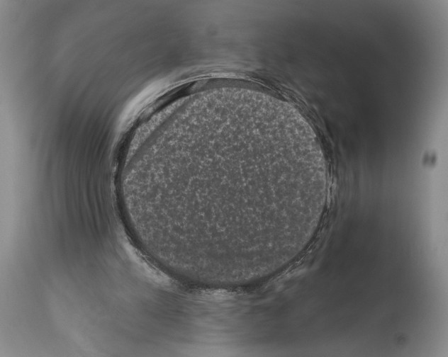 X0000113940197200911061249