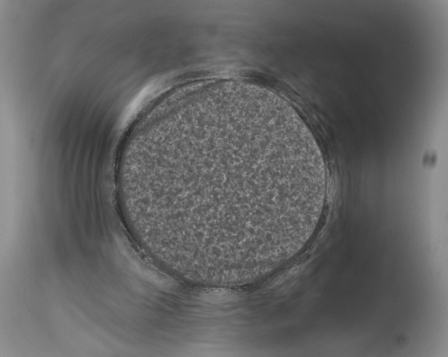X0000113940198200911061249
