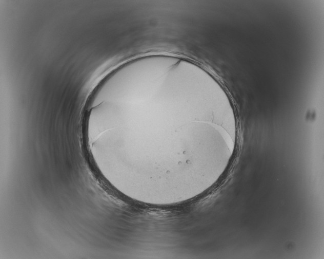 X0000113940199200911061249