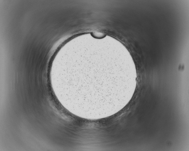 X0000113940200200911061249