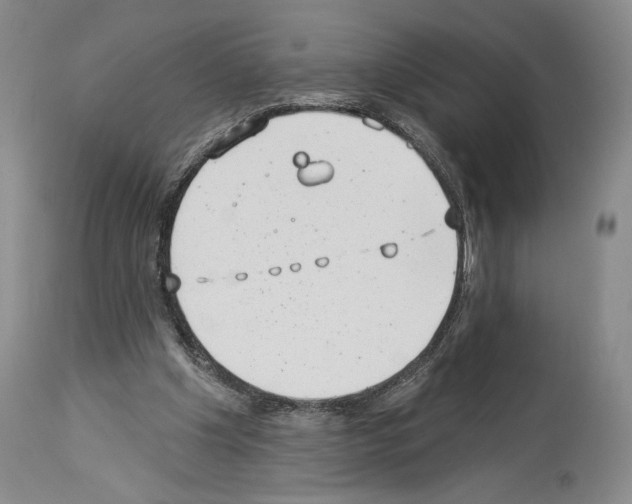 X0000113940201200911061249