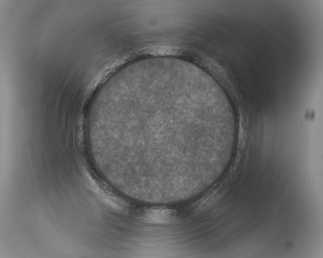 X0000113940202200911061249