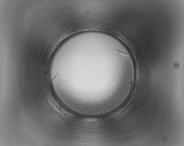 X0000113940203200911061249