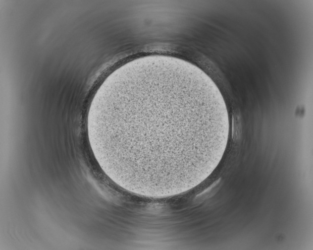 X0000113940204200911061249