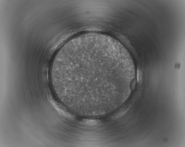 X0000113940205200911061249